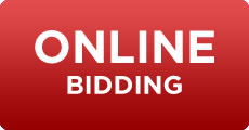 online_bidding_button